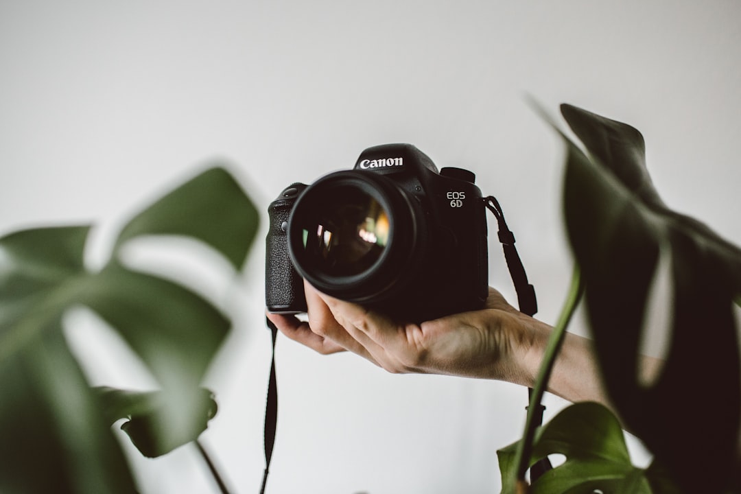 Budget-Friendly Photography: Capturing Stunning Images Without Breaking the Bank